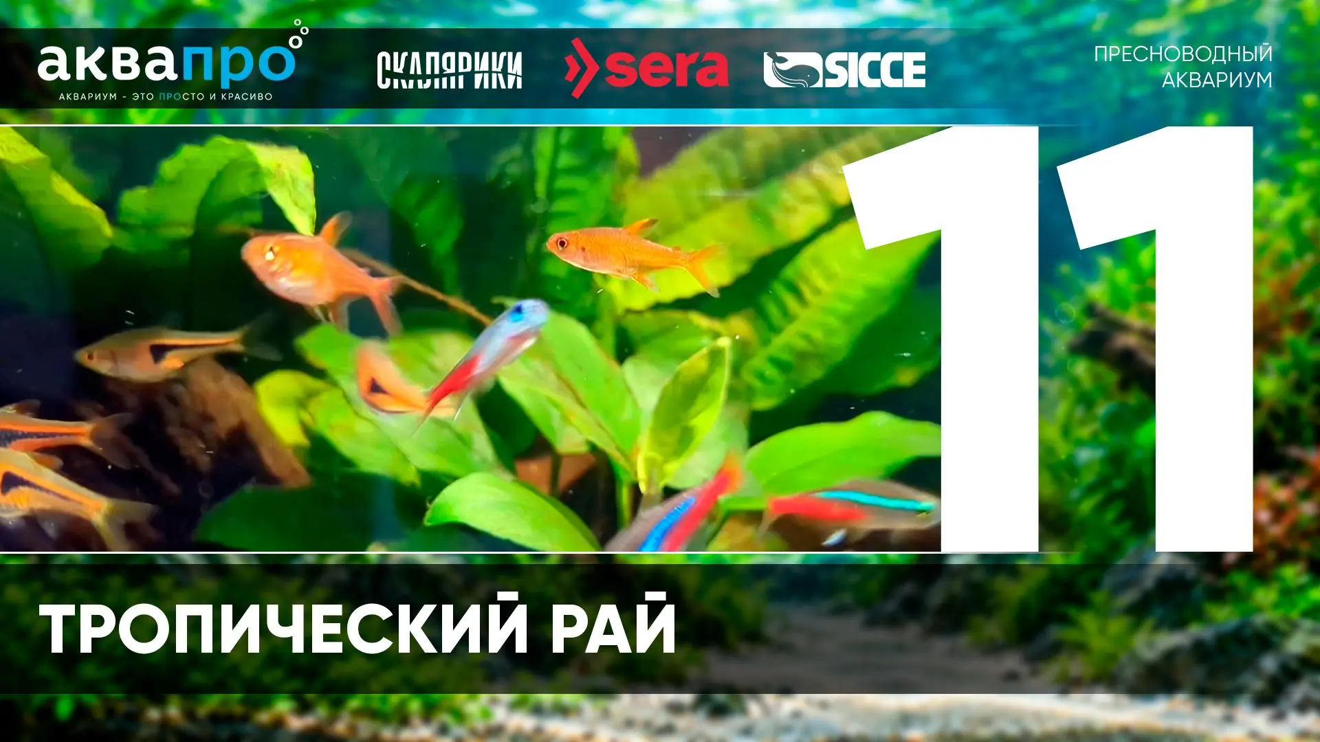 Фамилия Имя Отчество: Кемельбаев Тимур Файрузович