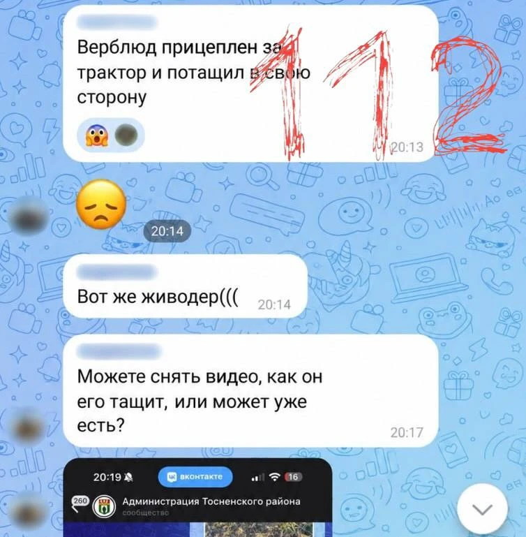 🦙🚜Верблюда в Ленобласти увезли на тракторе