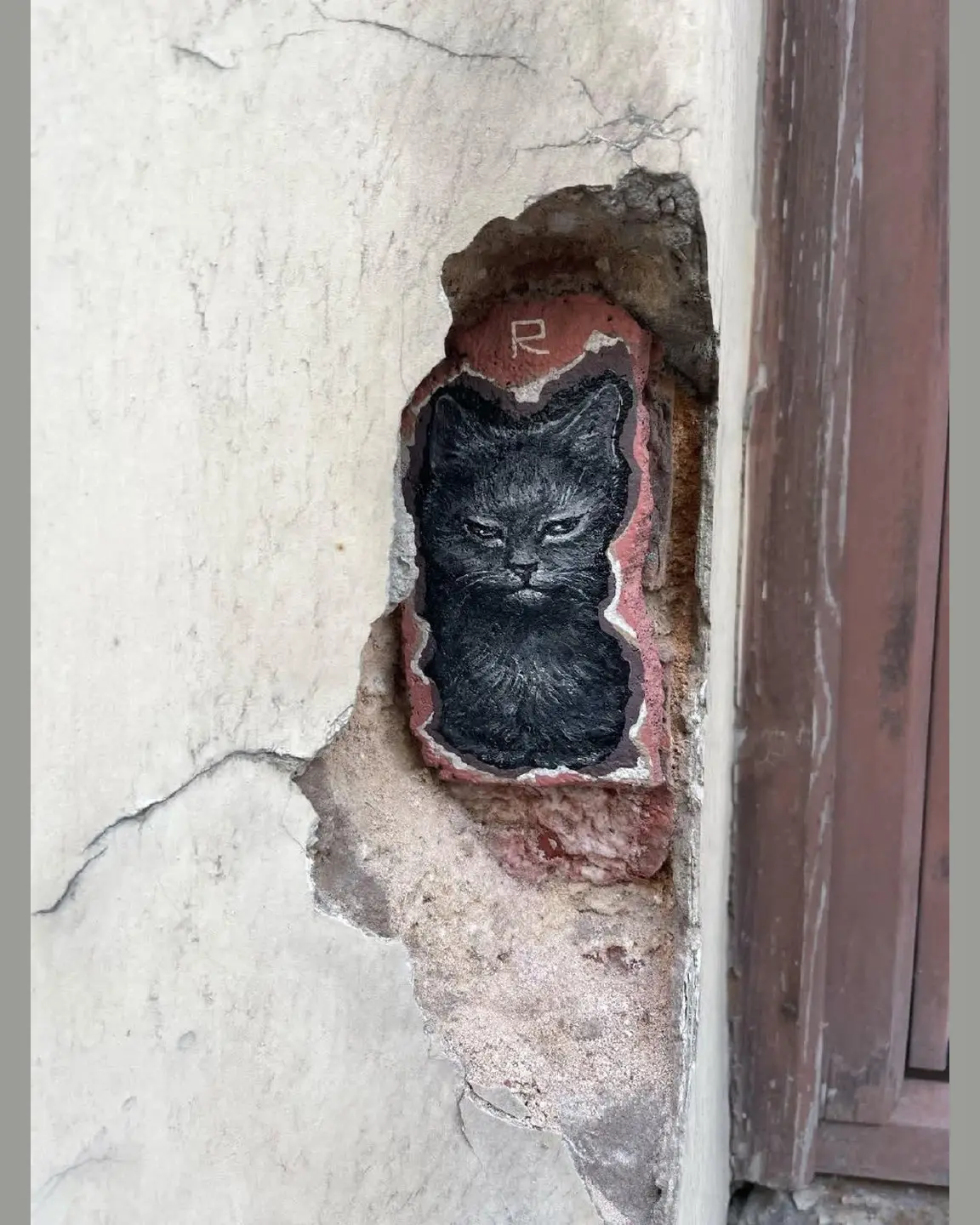 🐈‍⬛ Котят в трещинах и нишах петербургских домов создает художница