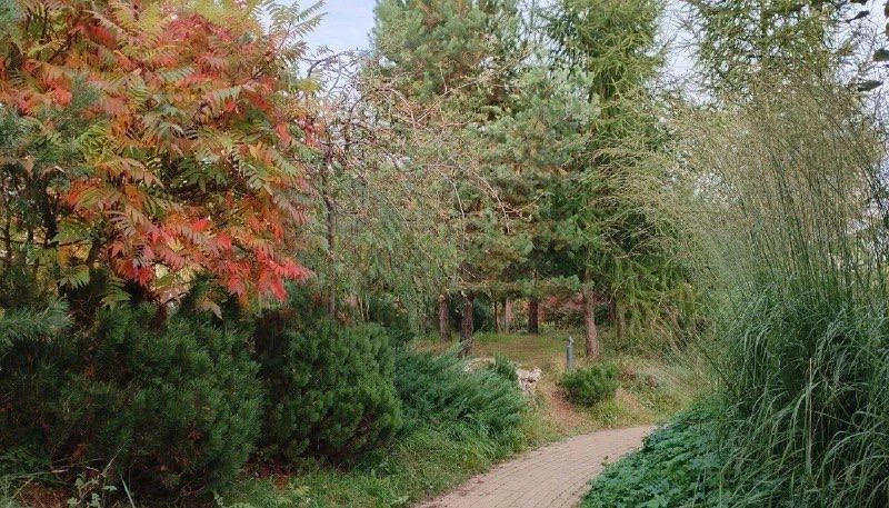 Осень бывает и такой 😍