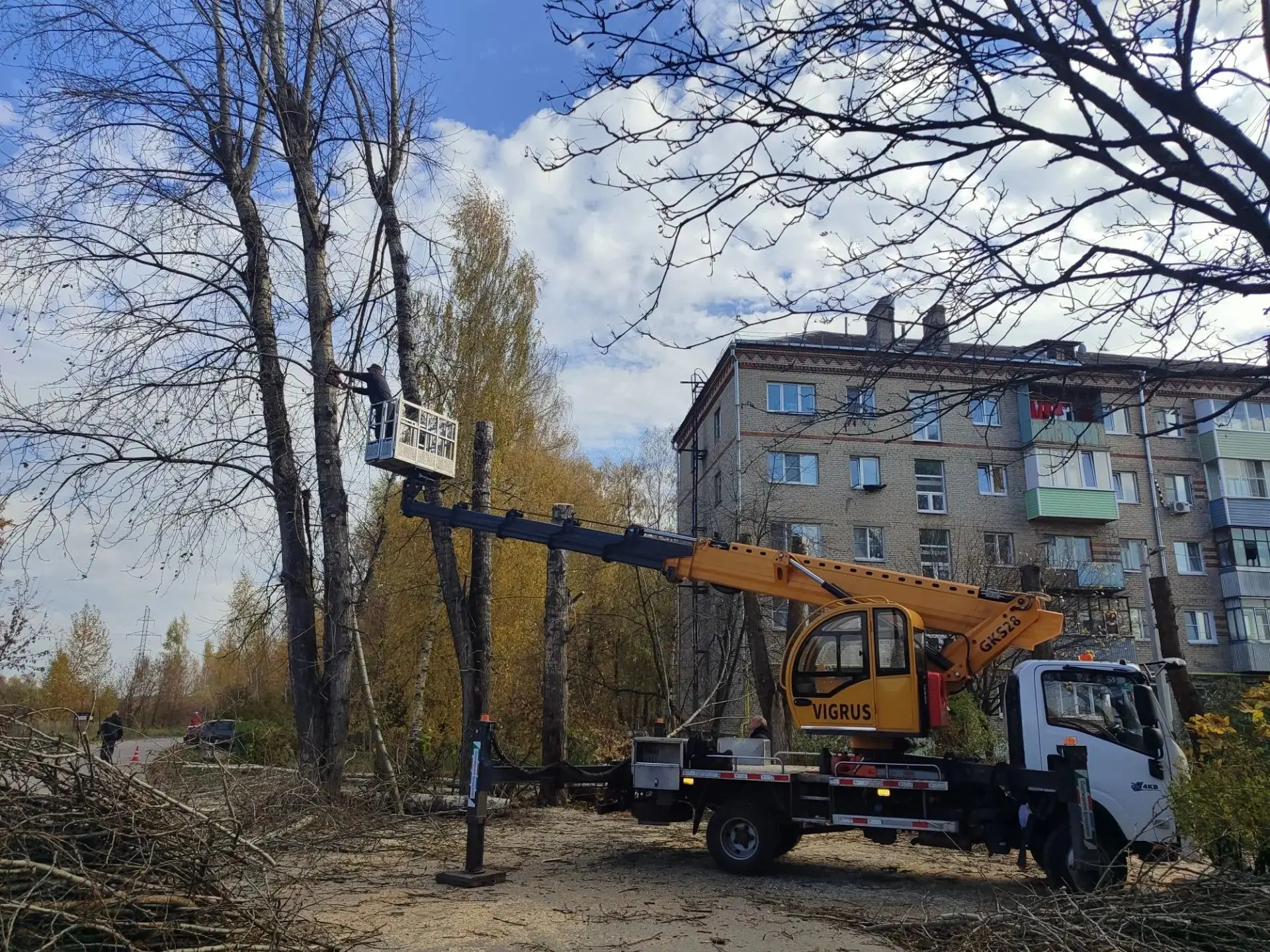 Безопасность и красота: вековые тополя привели в порядок 🌳По обращениям жителей сотруд...