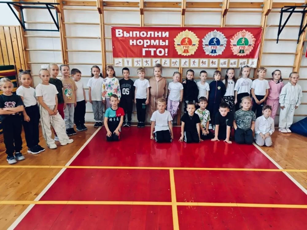 ПЕРВЫЕ ШАГИ К БОЛЬШОЙ ПОБЕДЕ В ШКОЛЕ П. МИЧУРИНСКИЙ