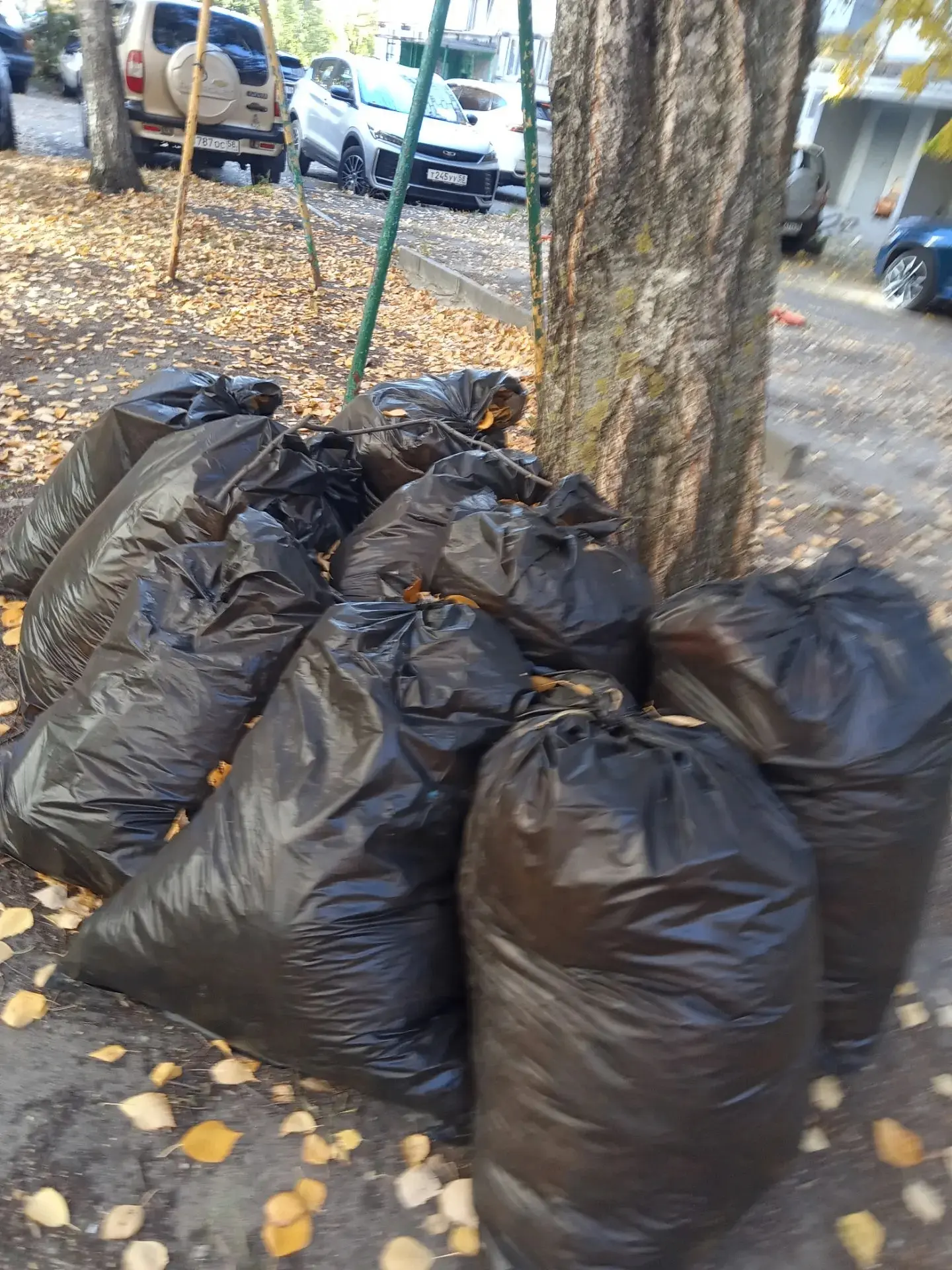 Осень - это не время для грусти, а время для великого собирательства. 🍁