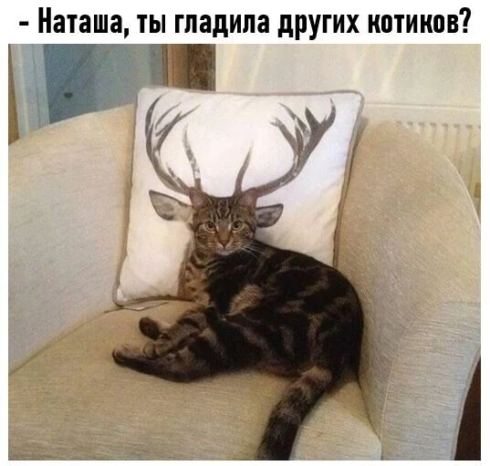 Подпишись на юмор 😂