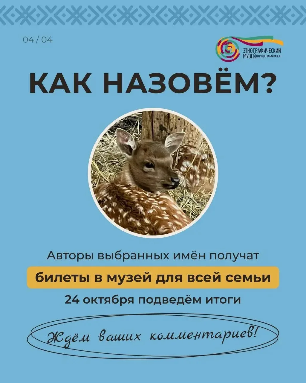 🦌 В Бурятии ищут имена для двух маленьких оленят!