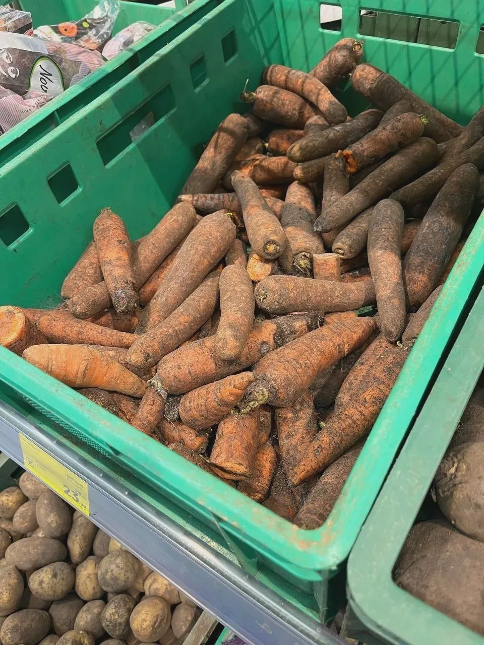 🥕 Продажа гнилой продукции в «Магните»