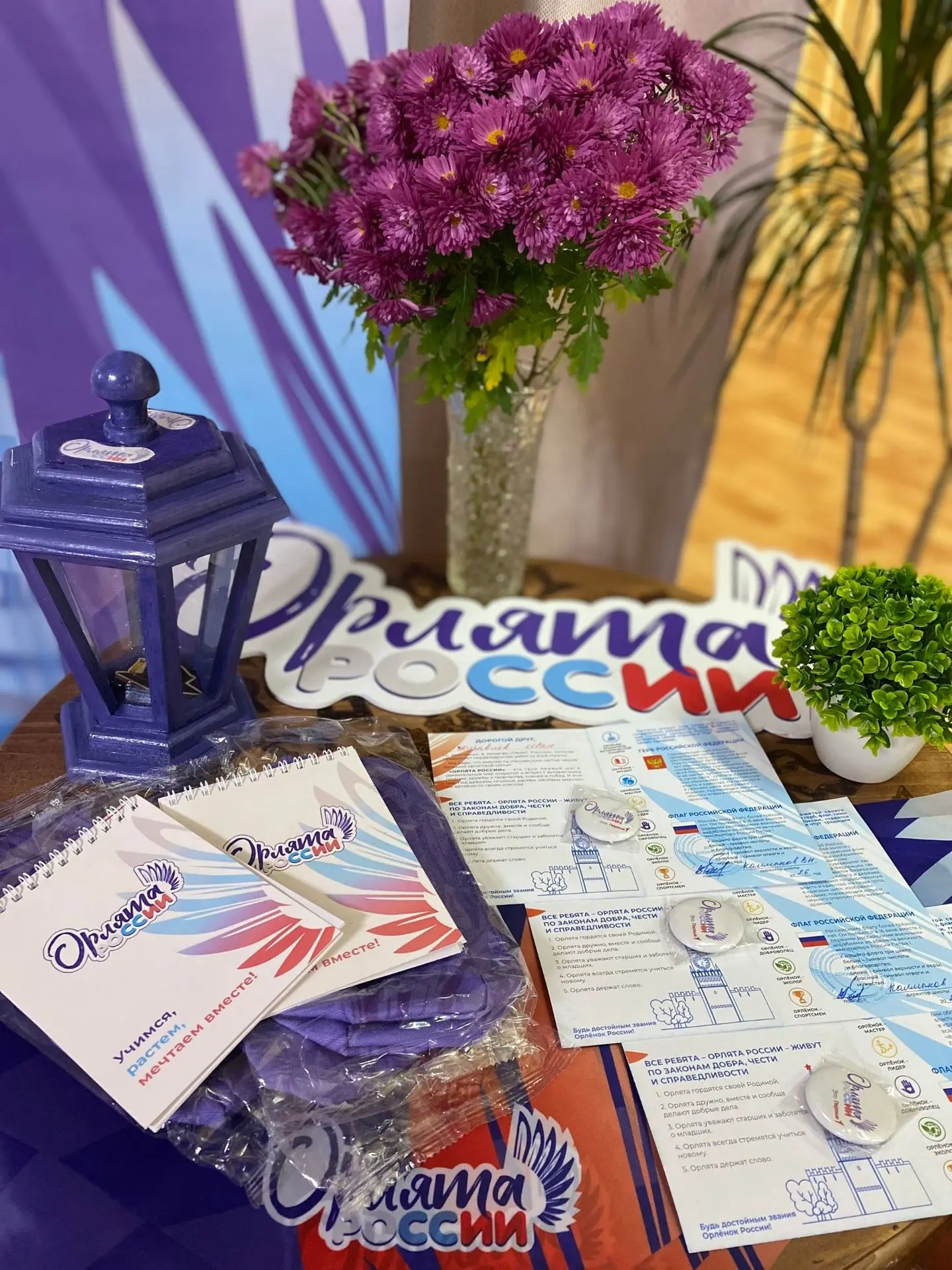 💜Орлята России: новые крылья 🪽 для полёта!