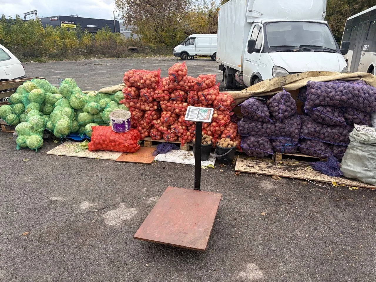 🥔 Сотрудники мэрии изъяли у незаконных торговцев более 7 тонн картофеля, лука и капуст...
