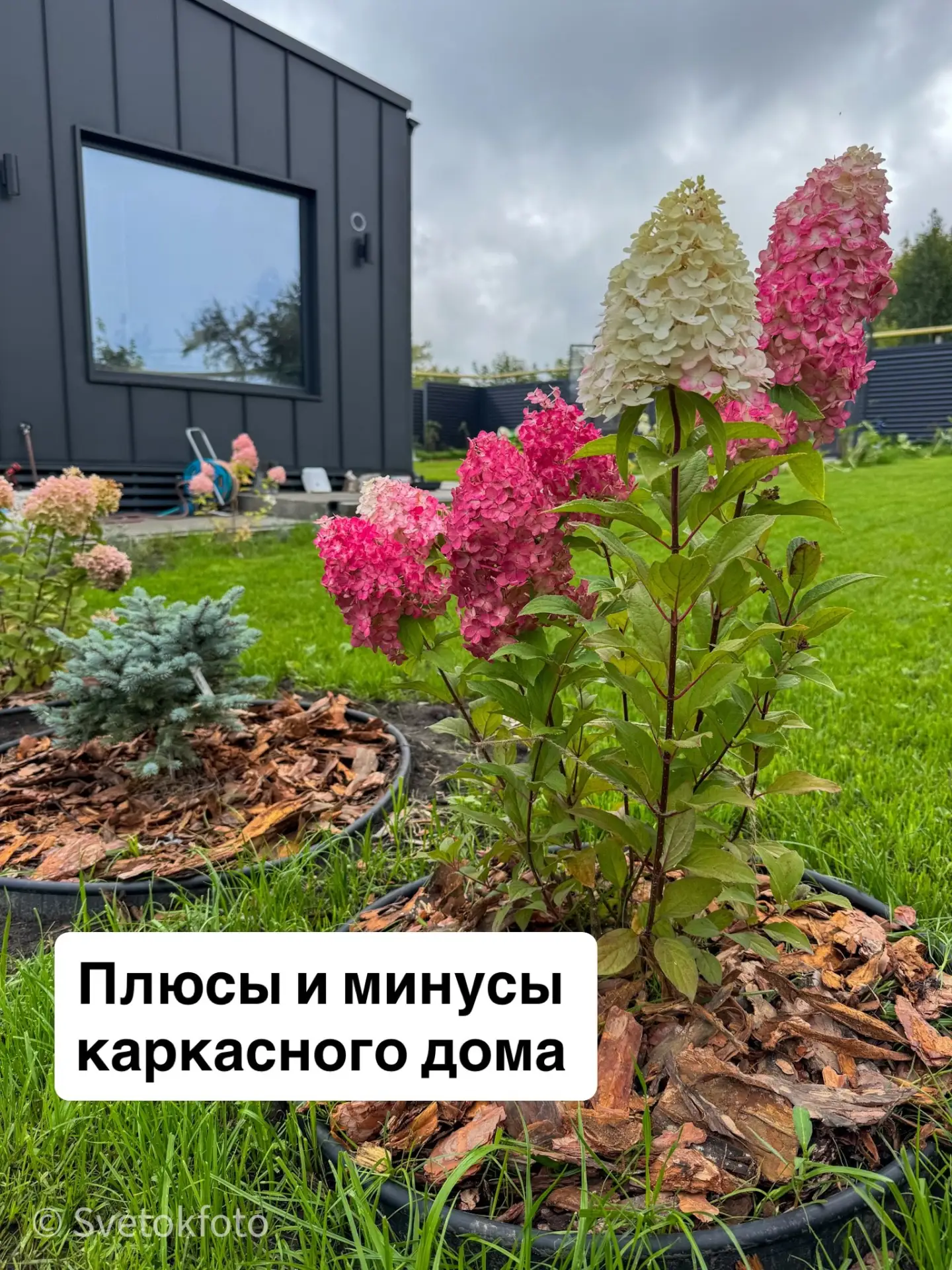 Плюсы и минусы дома - бани. Отвечаю на ваши вопросы.