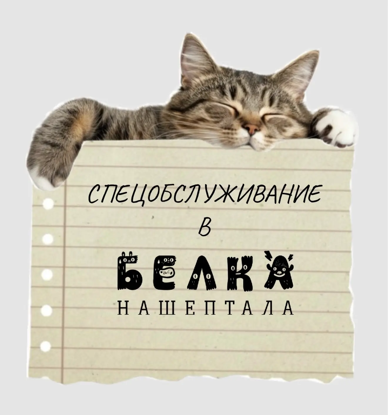 ВНИМАНИЕ ‼️