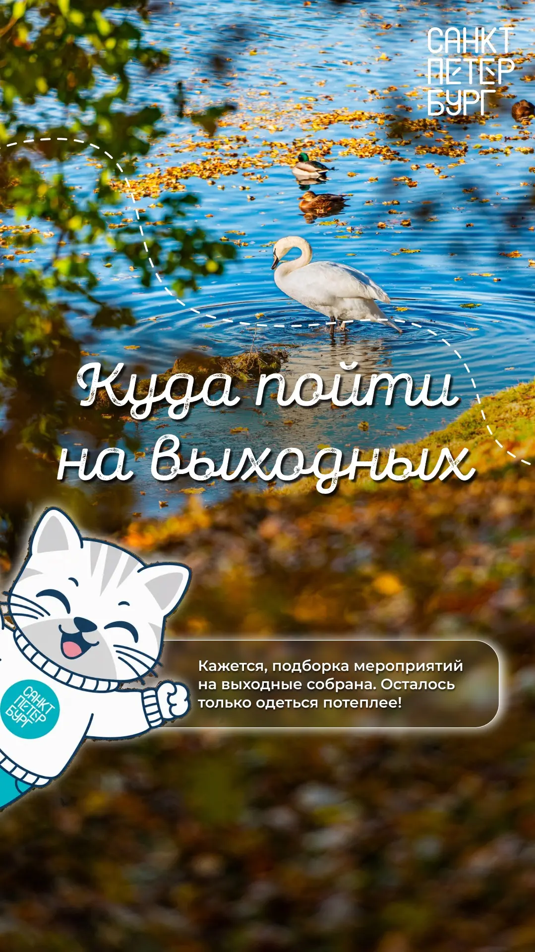 Золотая осень в пригородах Петербурга 🍁