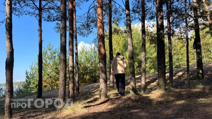 Чувашию на четыре дня накроет высокая пожарная опасность четвертого класса
