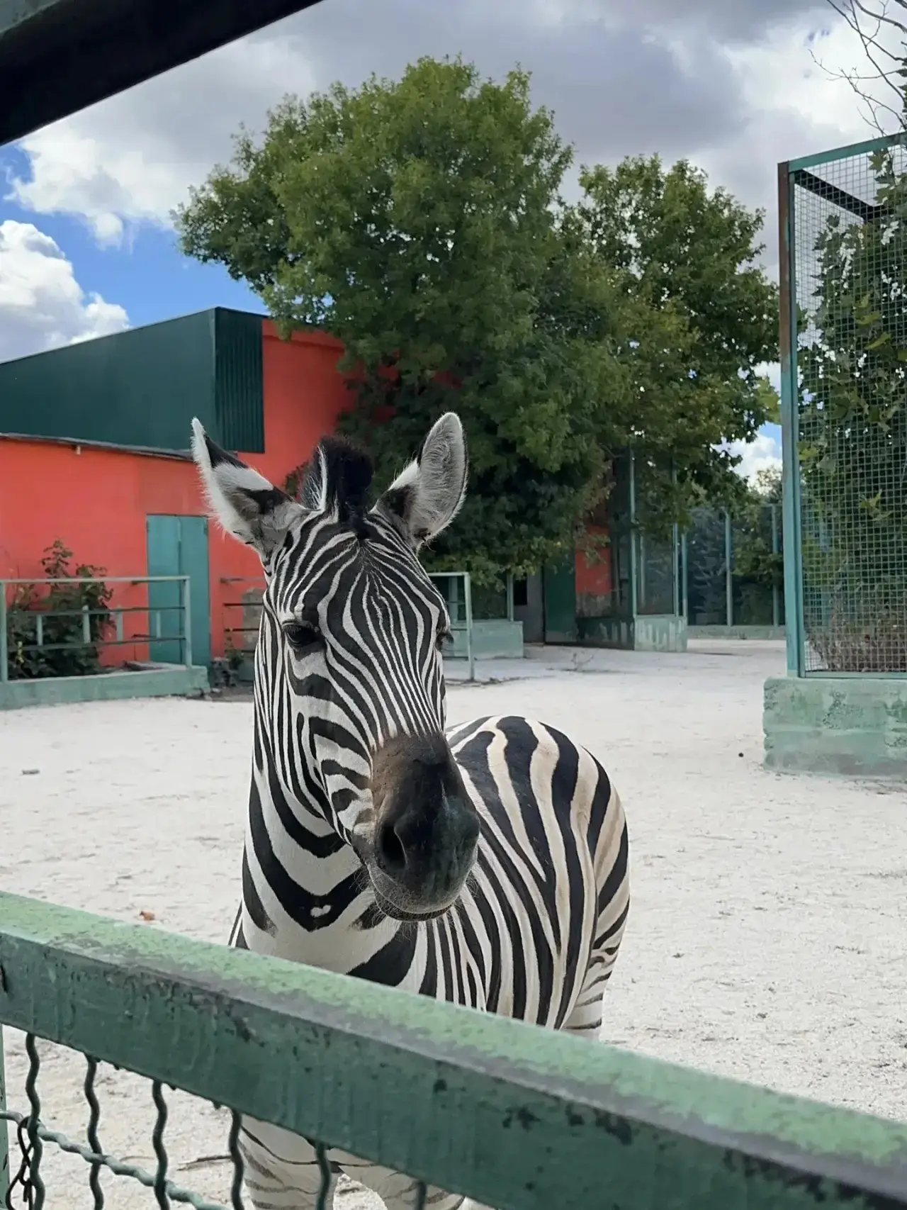 🦓 Сафари-парк «Тайган»