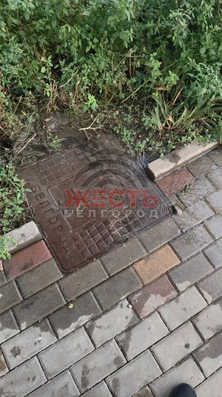 На улице Губкина, 42В уже три недели не могут устранить утечку воды