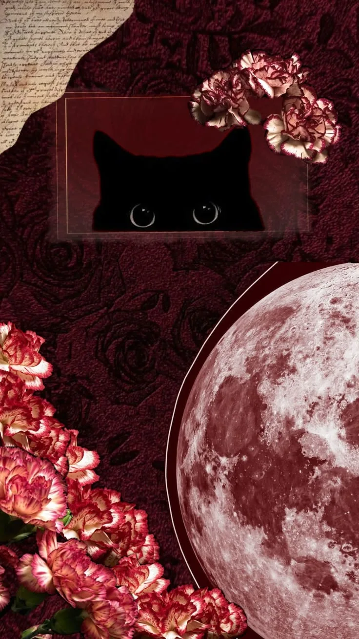 🥀 Бордовые обои