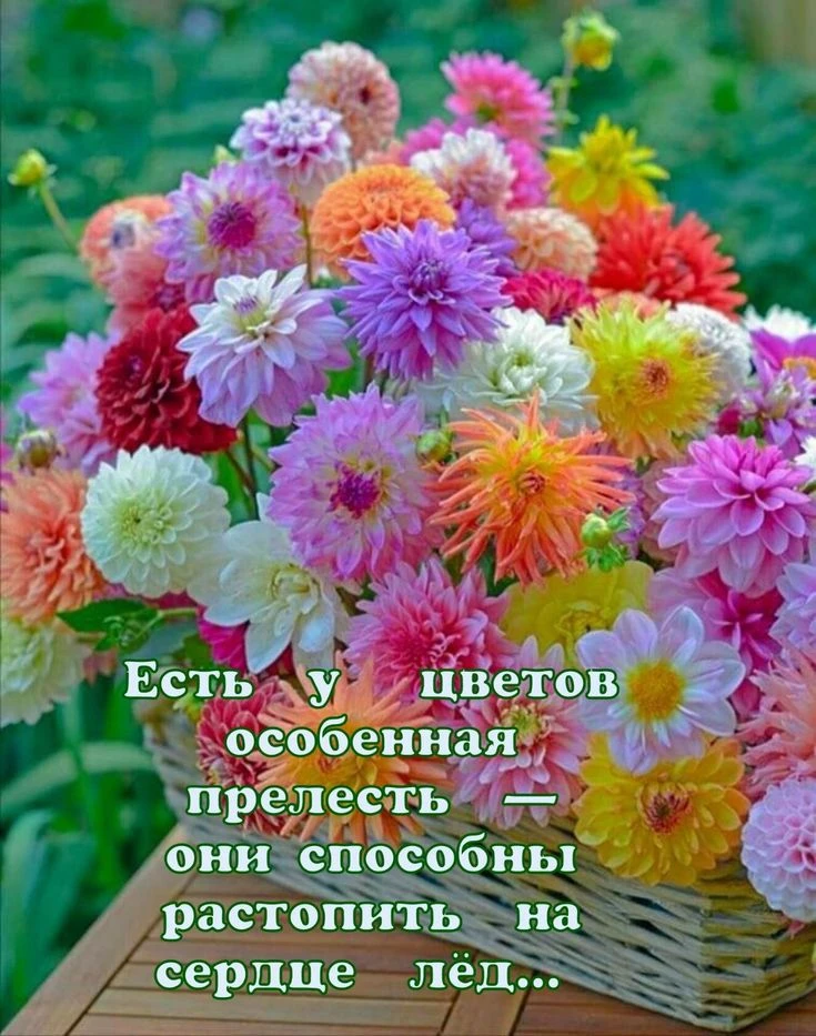♥️♥️♥️