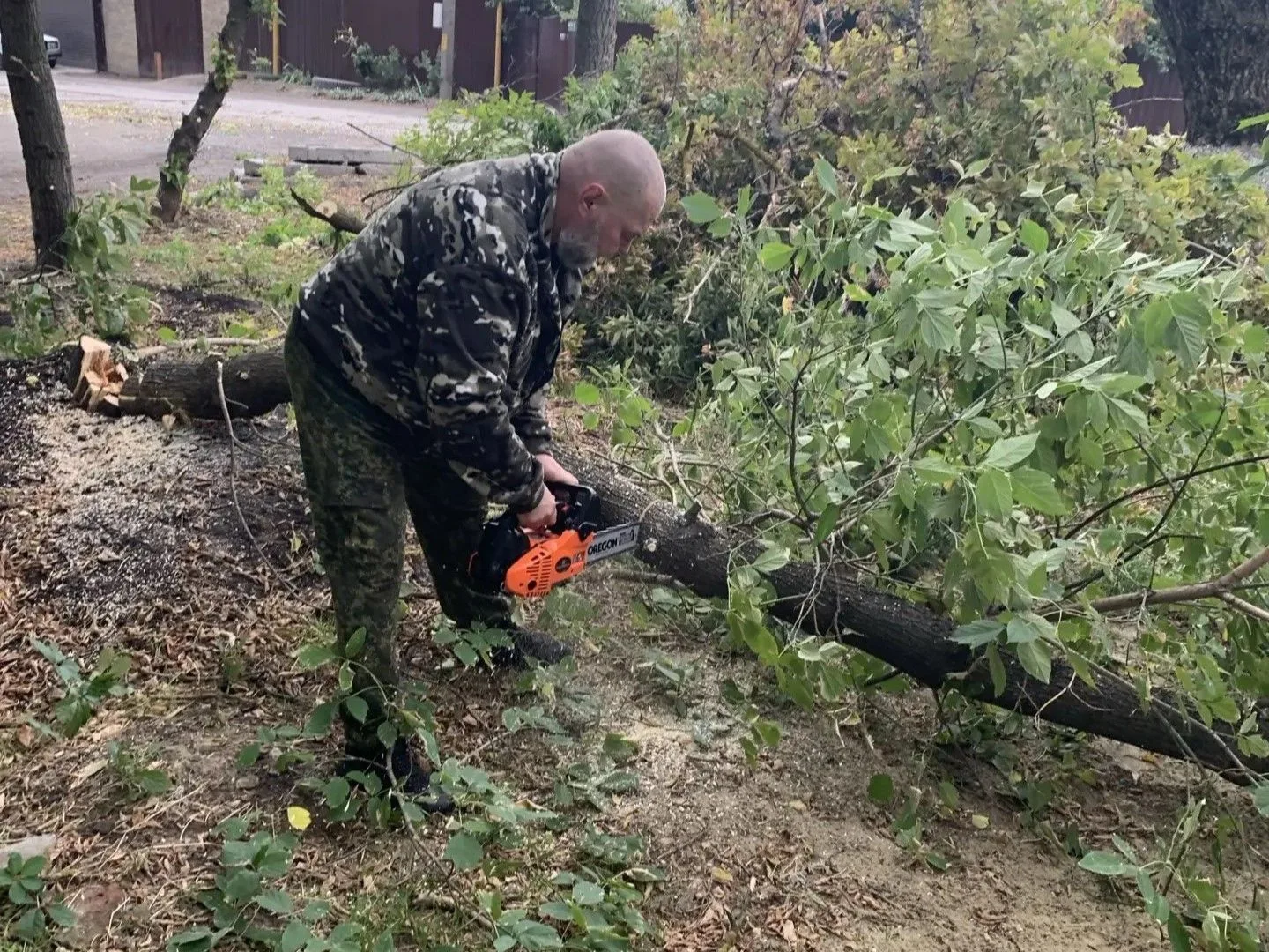 Опиловка старых и аварийных деревьев ведется на переулке Петрова. Ветви местных тополей...