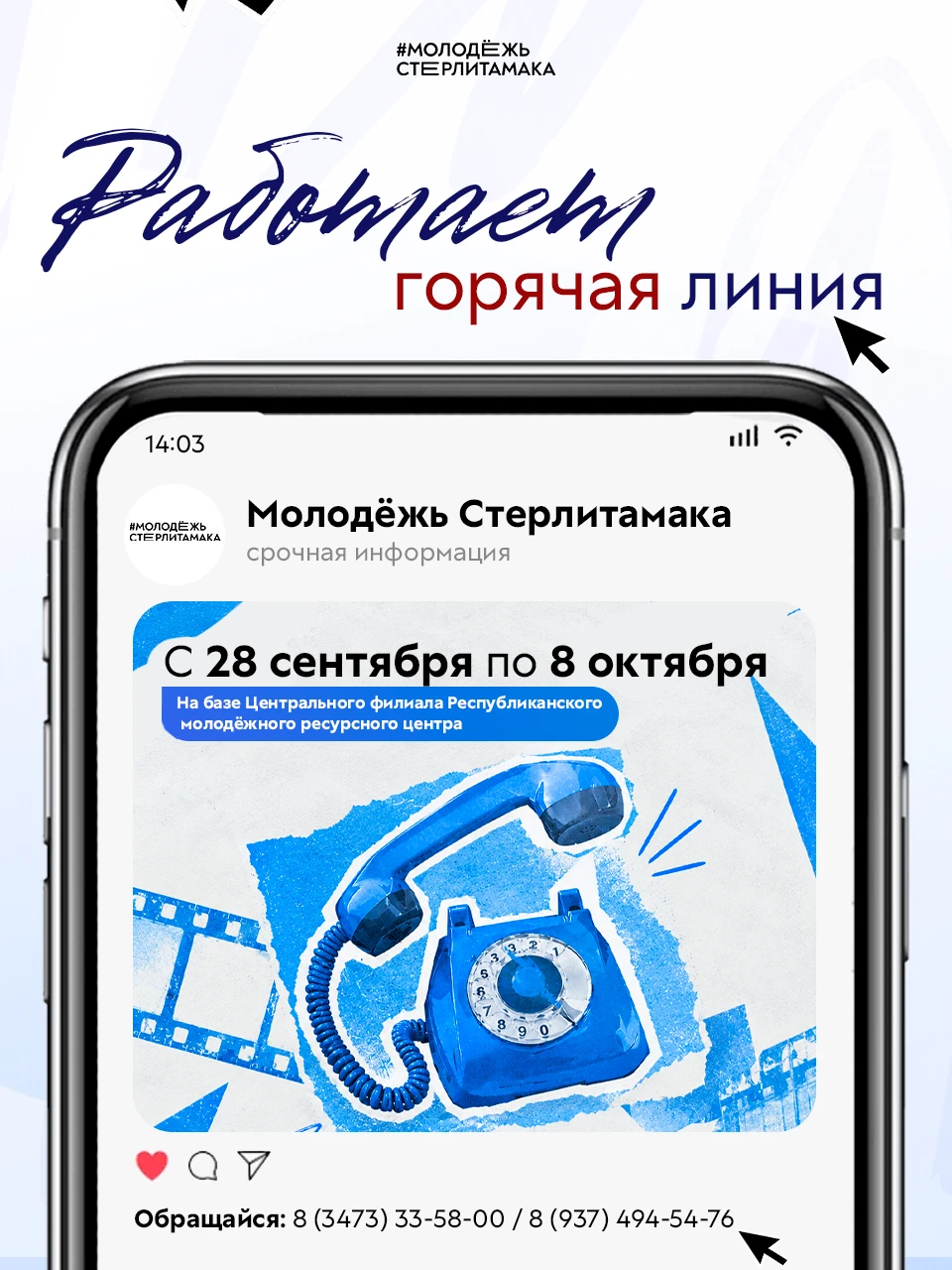 📞 Работает горячая линия