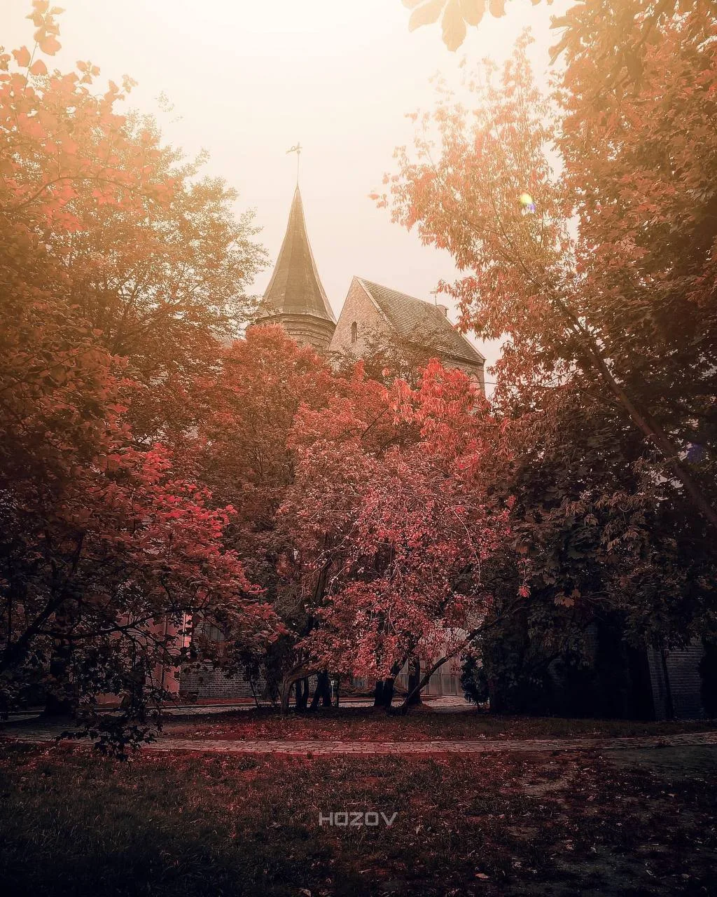 Совсем скоро природа порадует нас буйством красок🍂🍁