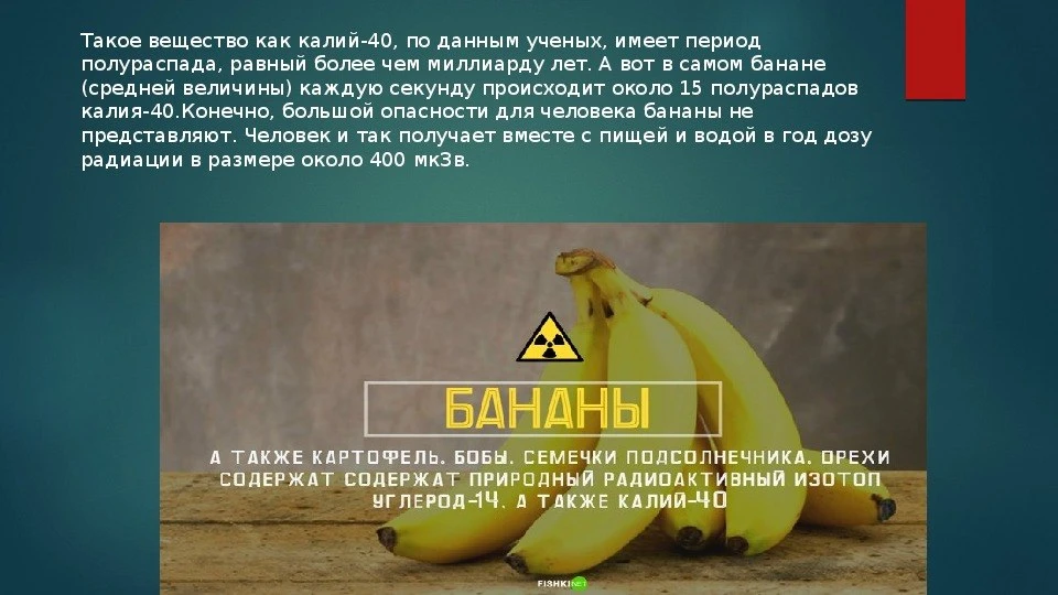 А вы знаете, что бананы радиоактивны?