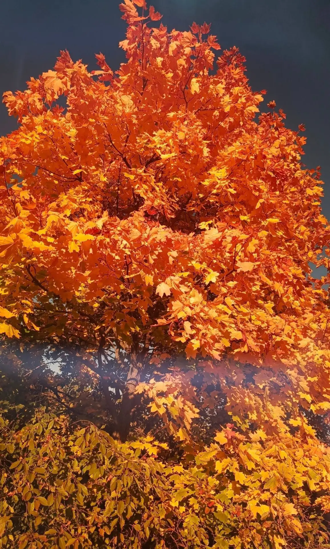 Ну как же ярко!!! 🍂