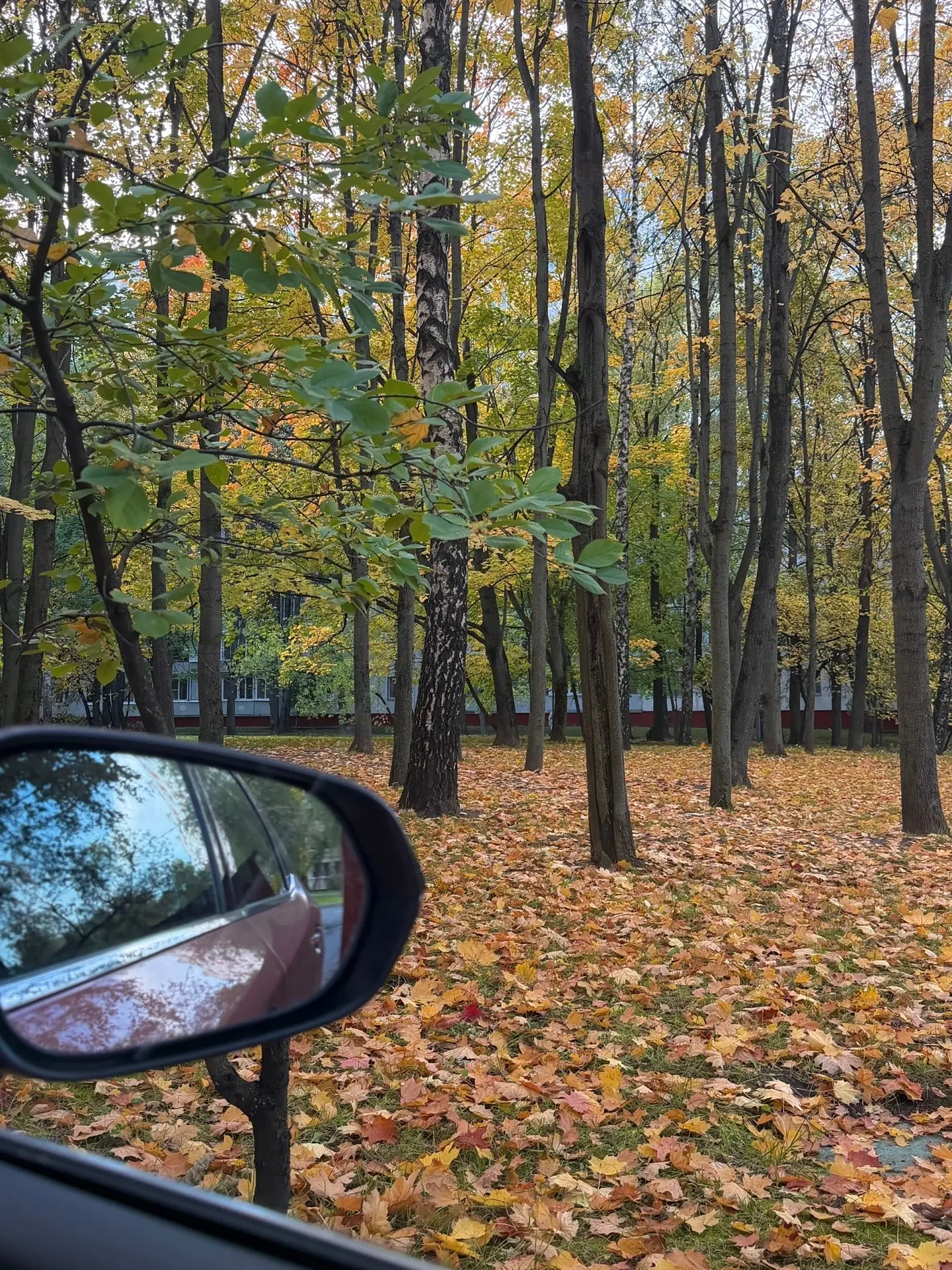 Красивых осенних фоток для вас🍂🍁