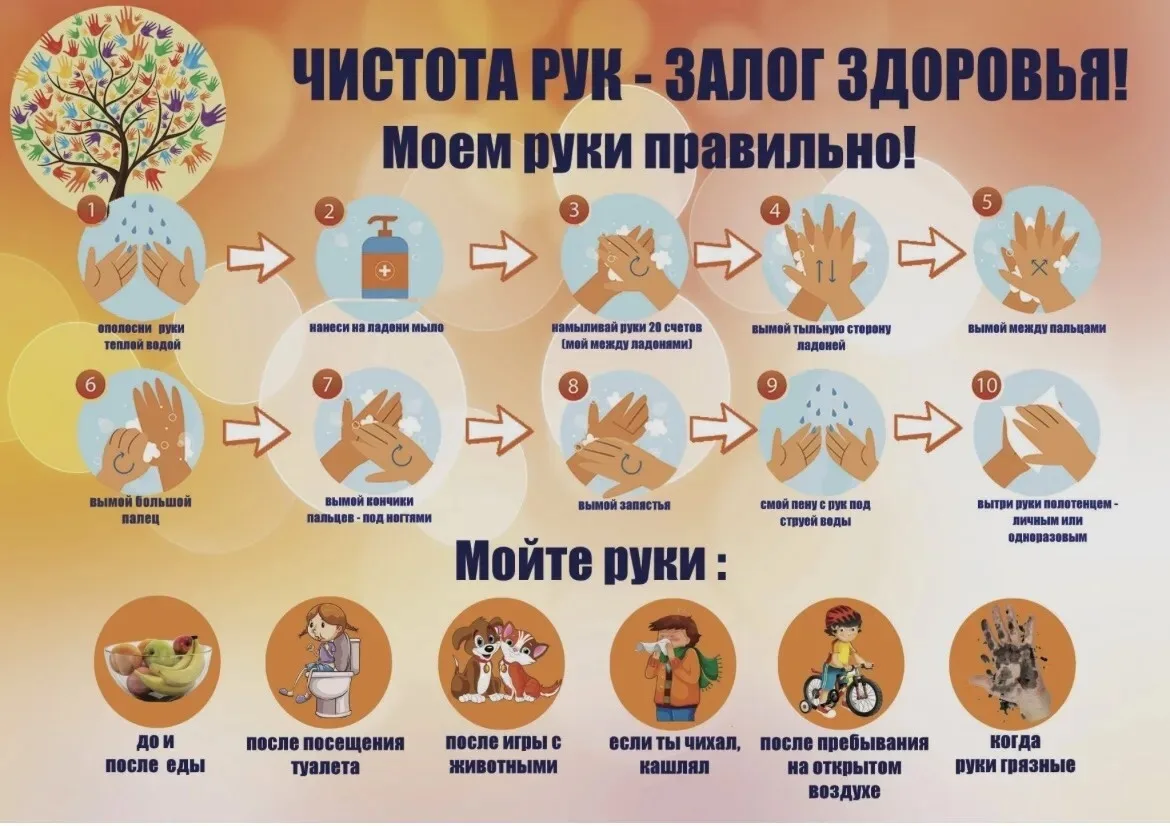Чистота рук — залог здоровья! 🧼