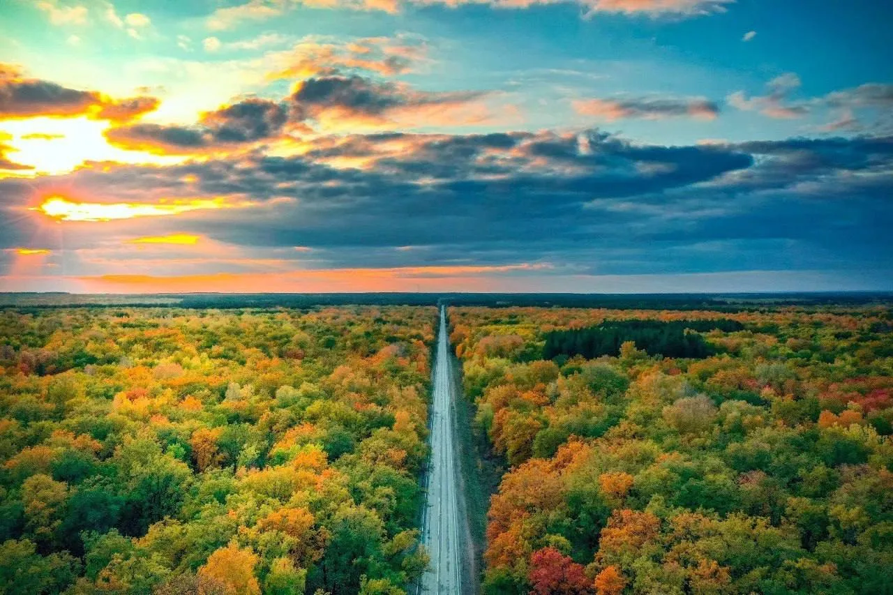 🍂 Самарскую область ждут выходные с температурой до +21 °C.