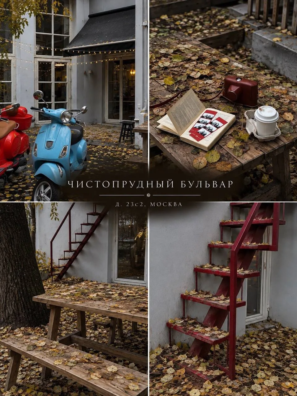 🍂 Собрали подборку живописных мест для красивых осенних кадров!