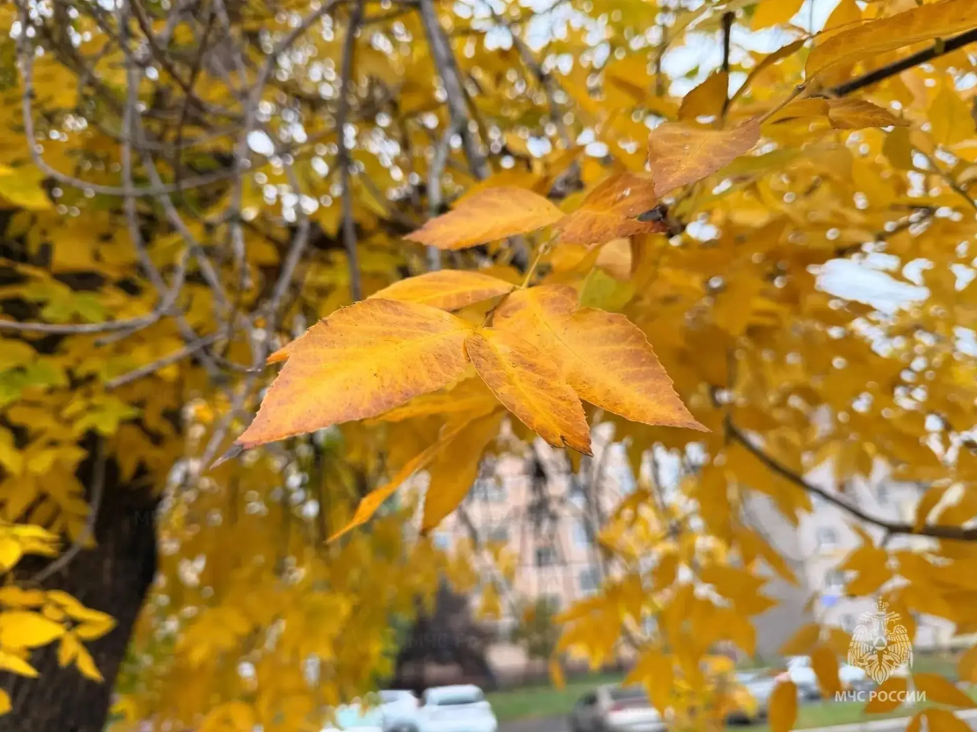 ☔️ В выходные будет тепло, местами ожидаются небольшие дожди