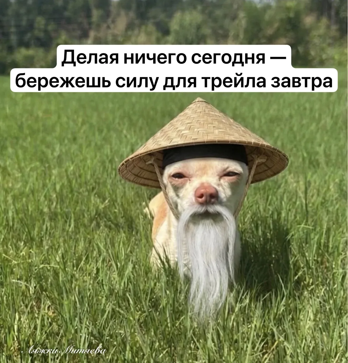 Берегу, берегу, дедушка.