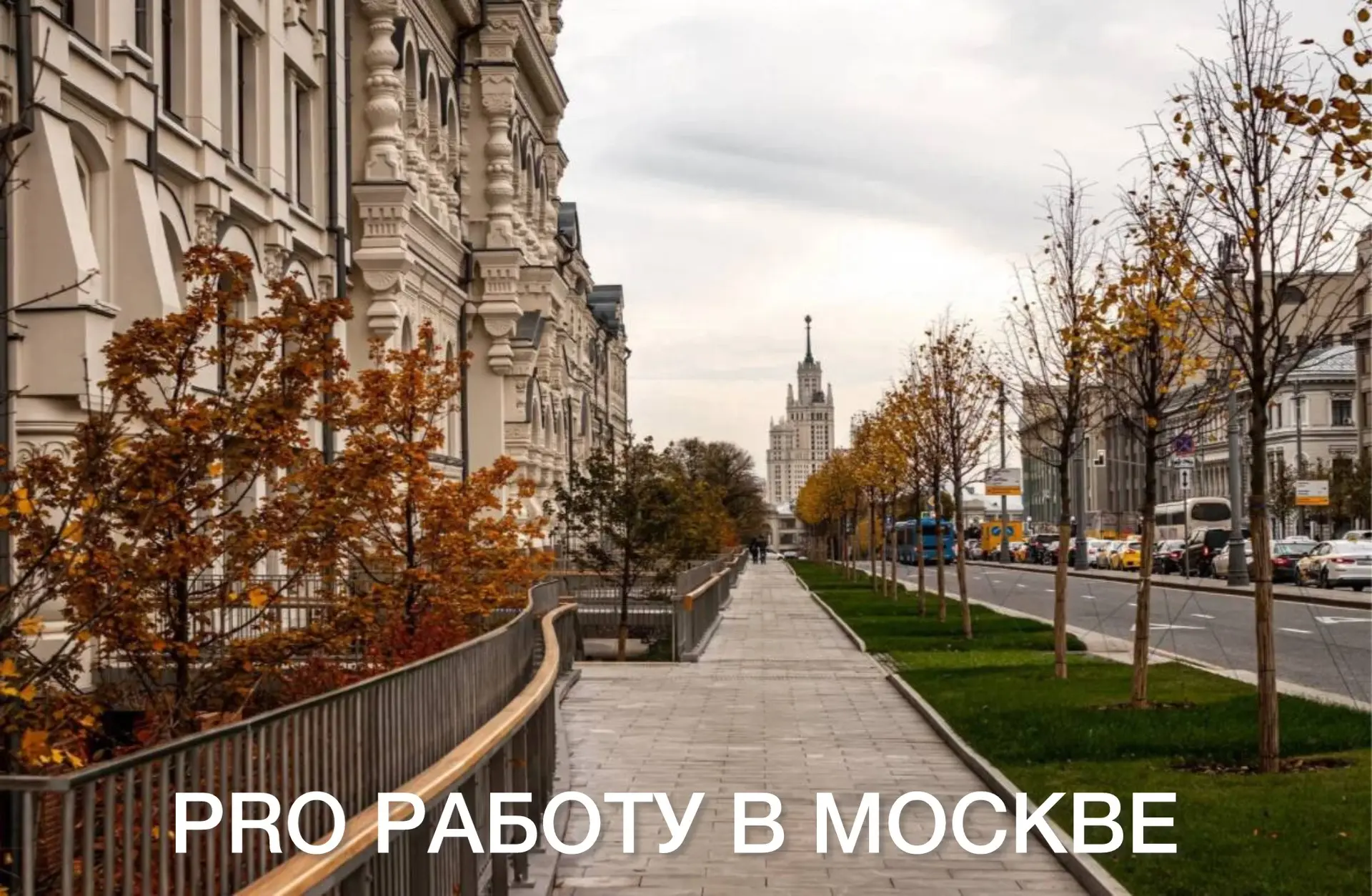 Программист .Net