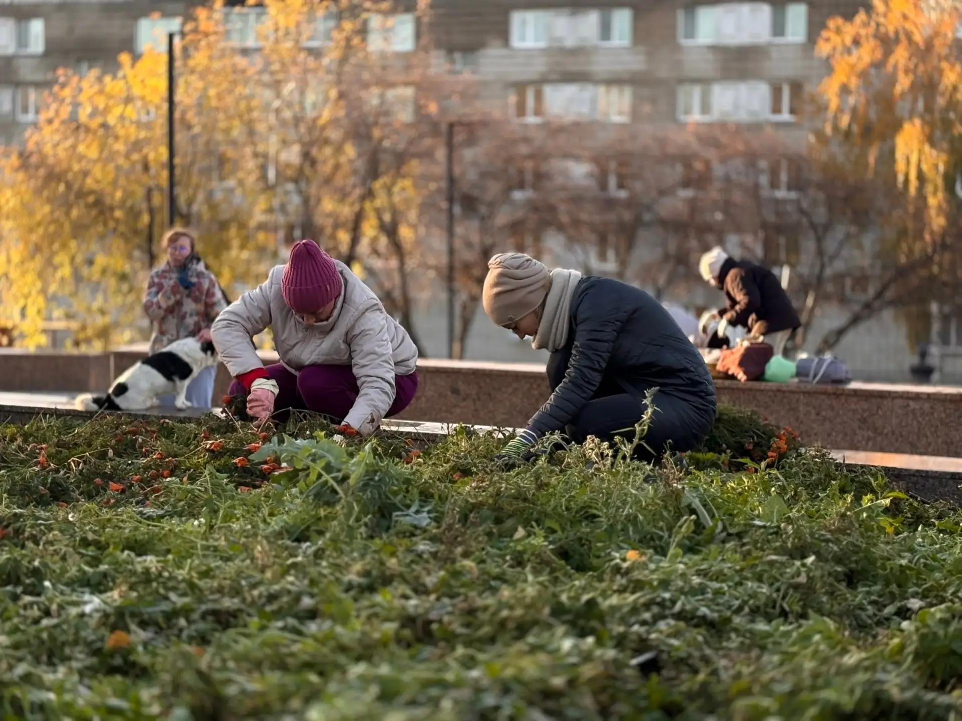 Экопятница в Верхней Туре 🍂🧹