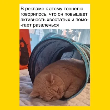 Полный Хохотамбл! Подпишись скорее