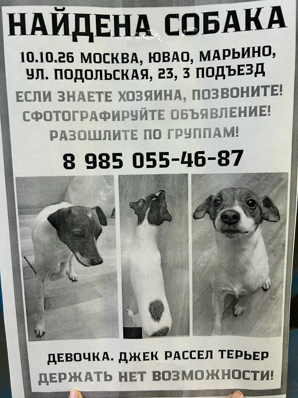А у нас ещё одна #потеряшка 💔