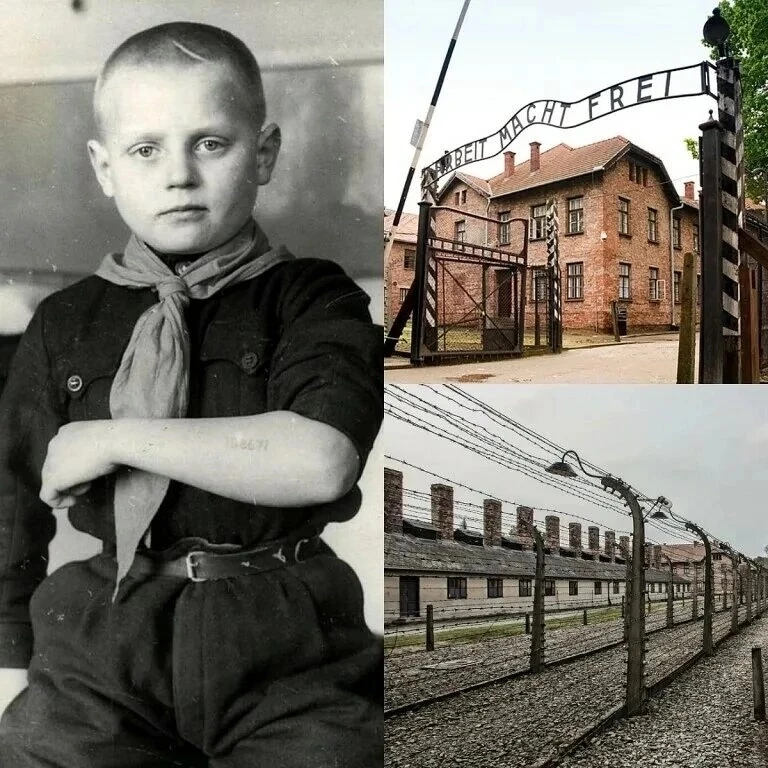 НАЦИСТЫ ВЫКАЧАЛИ ИЗ МАЛЬЧИКА ЧЕТЫРЕ ЛИТРА КРОВИ. 12-летний Алёша Лебедев, возвращенный ...