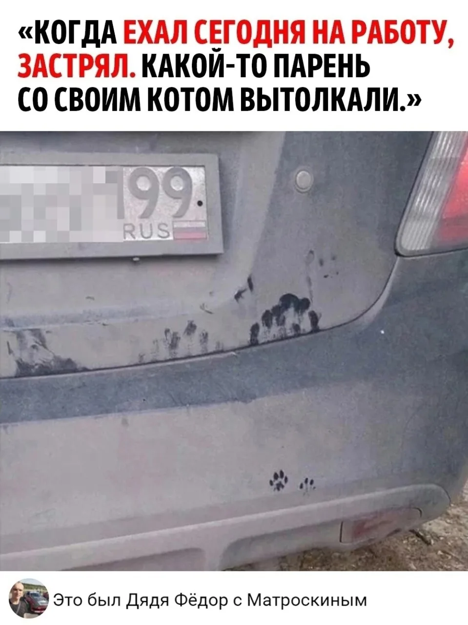 С таким котом не пропадёшь...