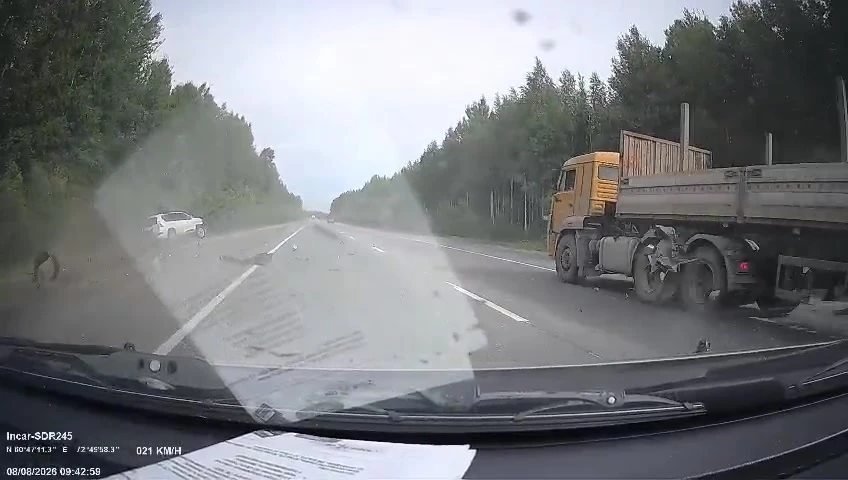 Прошу водителей данных автомобилей   позвонить по телефону  89222569560, 08.08.2026 год...