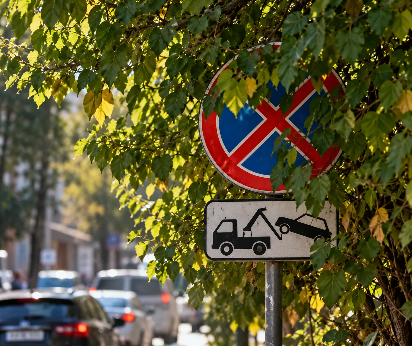 🚗 «Нарушили — не спорим. Но нельзя было решить на месте?» — обсуждают в Туапсе