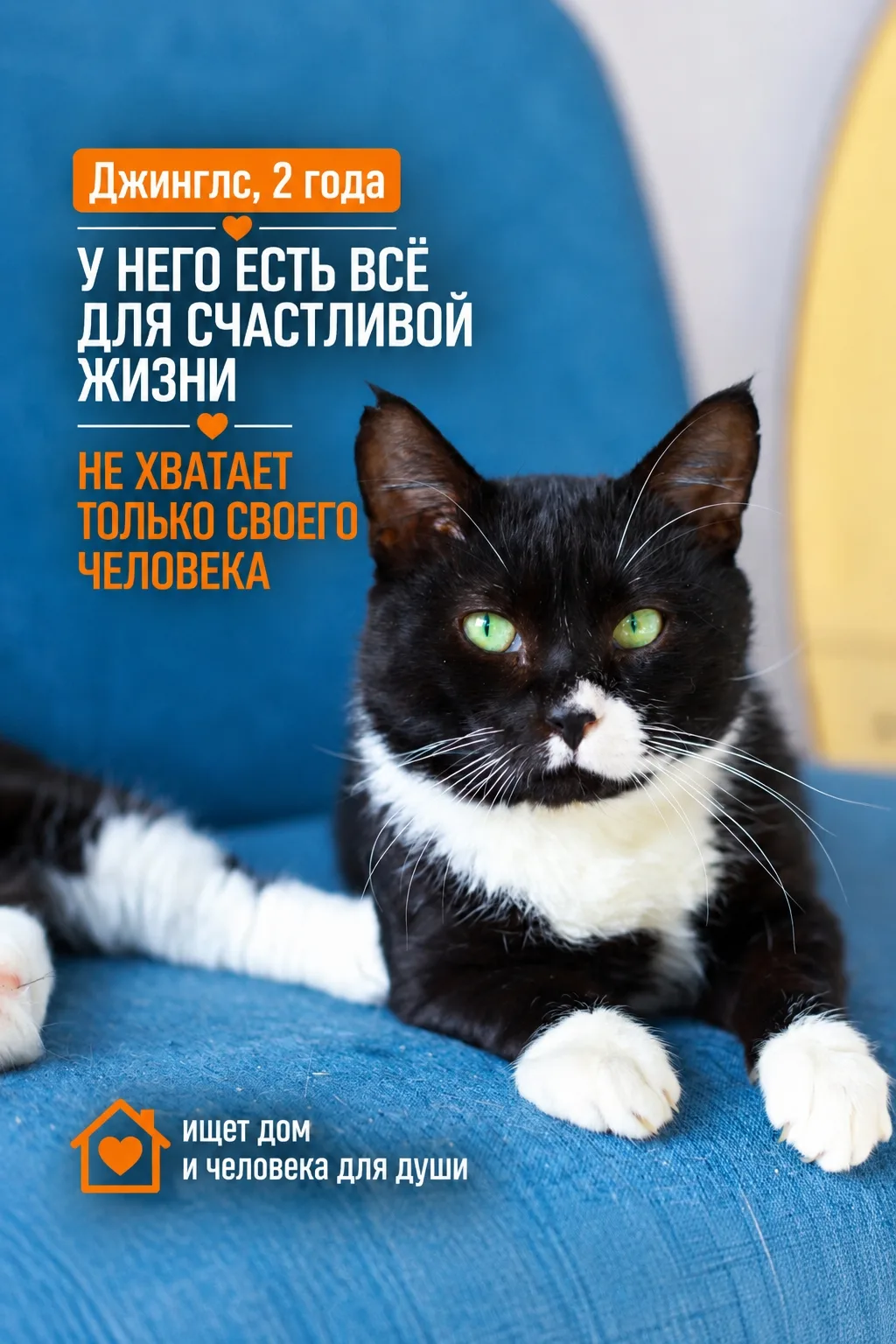 Если вы думаете, что потеря одной лапки может кого-то остановить, то вы просто ещё не з...