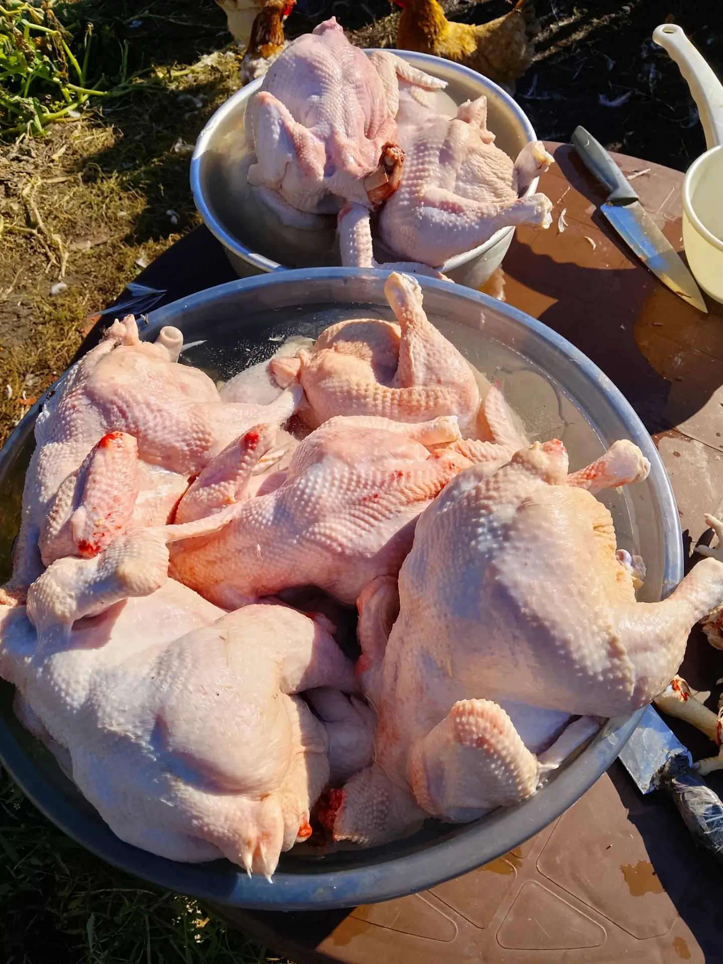 Прибрали бройлеров, на зиму с мяском