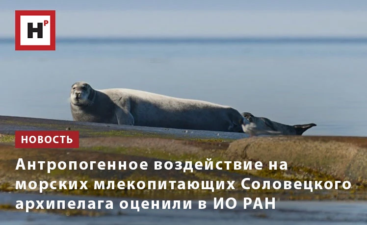 Топовый полигон стал источником уникальных данных. Впервые здесь изучили акустическую а...