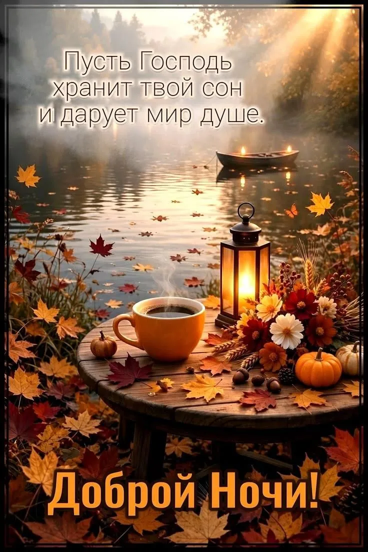 Всем доброй и МИРной ночи 🌙 ❤️🙏