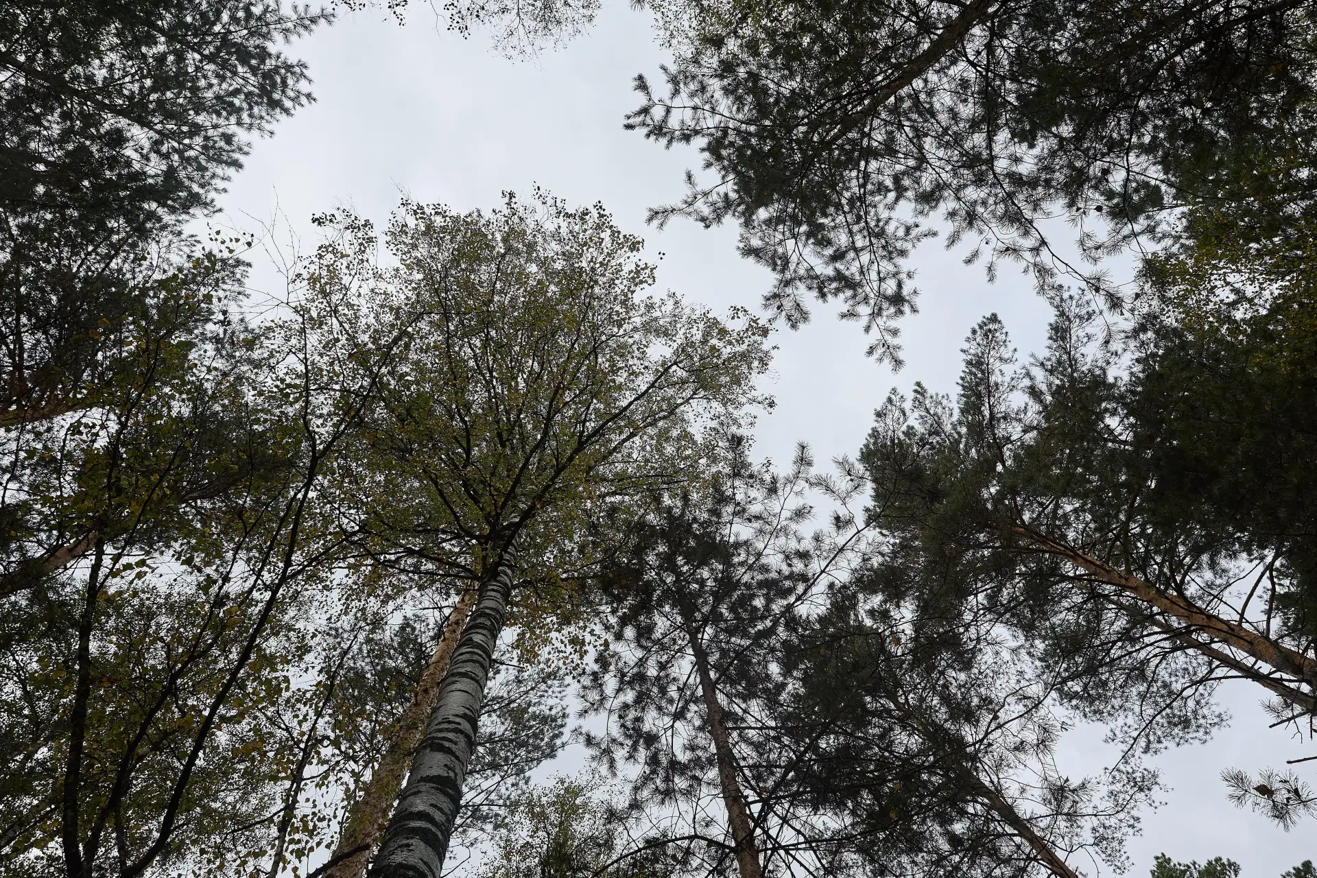 Хлопок и запах гари. Что говорят жители об атаках в Воронеже сегодня ночью, и можно ли ...