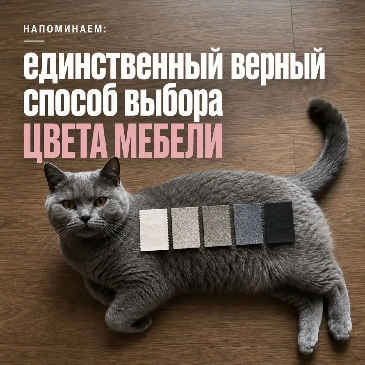 ПРУFИКИ В МАХ