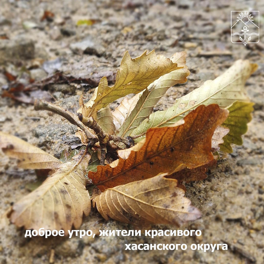 🌤Сегодня пасмурно