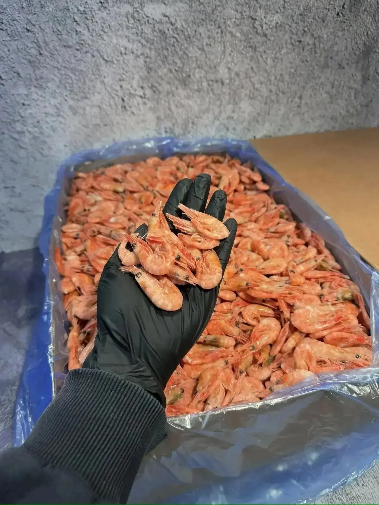 🔥 ВЫГОДНОЕ ПРЕДЛОЖЕНИЕ — КРЕВЕТКИ 🦐