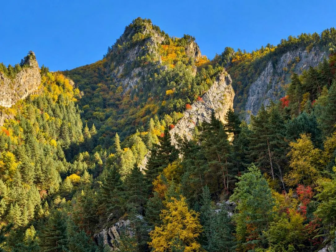 🍂 Золотая осень в горах Дагестана