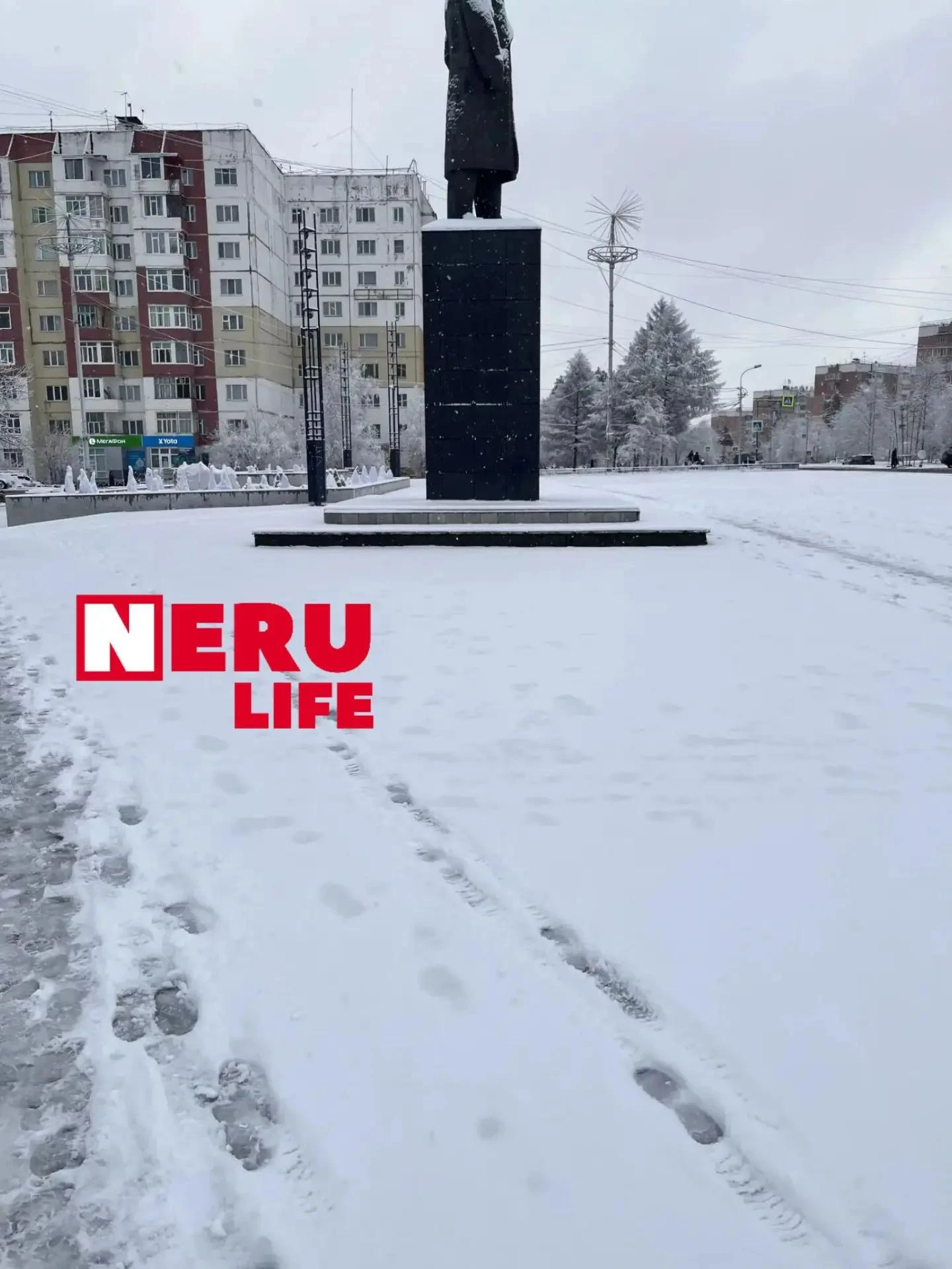 Ну вот и снова снег❄️