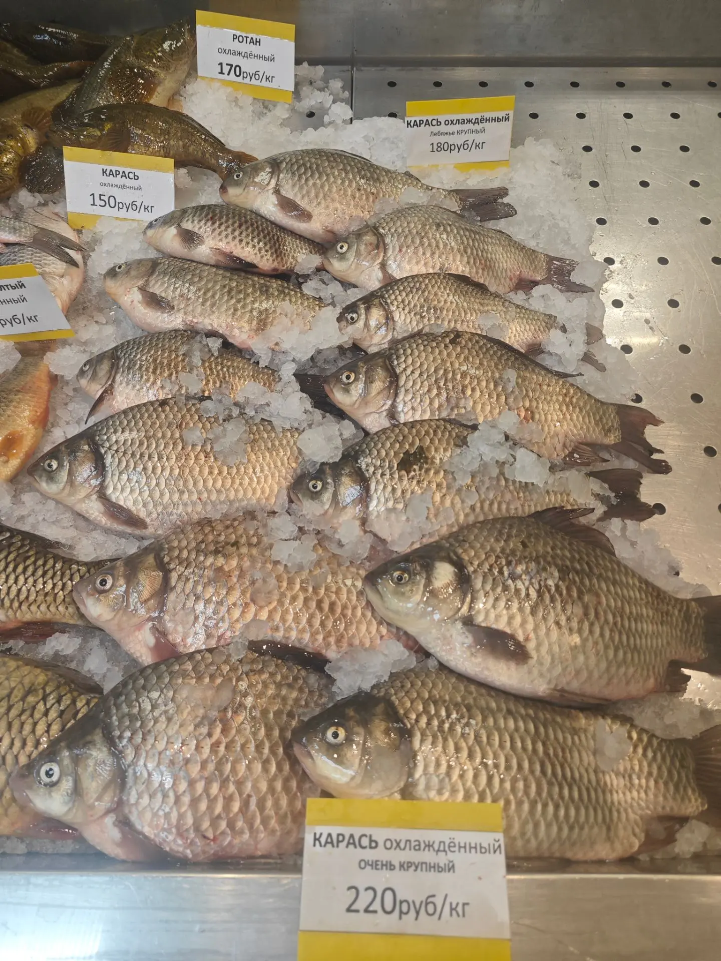 🐟 СВЕЖЕЕ ПОСТУПЛЕНИЕ — ЖИВАЯ РЫБА! 🐟